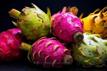 pitaya propiedades y beneficios