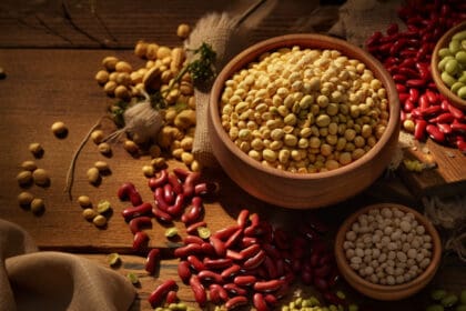 soya propiedades y beneficios 2